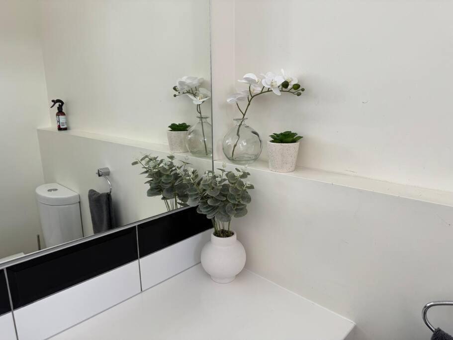 4 Large Bedroom Apartment In The City Hastings Buitenkant foto